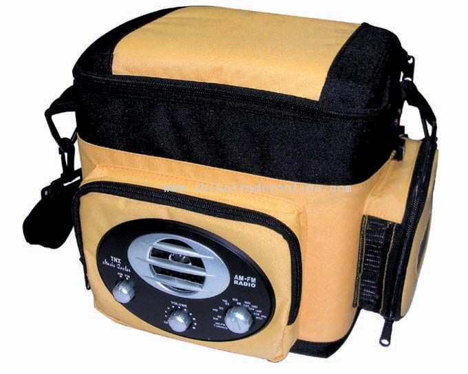 12-volt 6 Liter Thermoelectric Cooler & AM/FM Radio from China